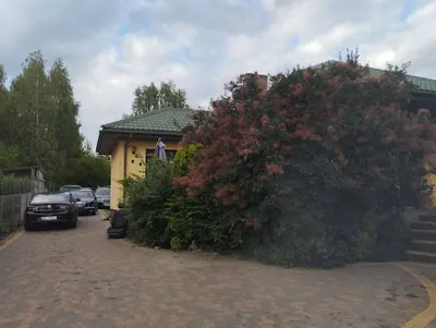 Auto Serwis Cezary Początek F.H.U Garaż